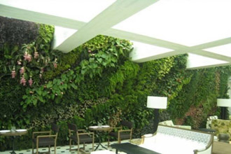 垂直绿化生态植物墙实景案例