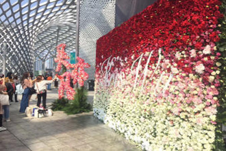 仿真花墙定制