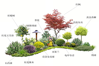 现代庭院多层混植花境组团景观实景案例