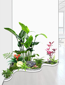 室内简约微景观绿植造景实景案例