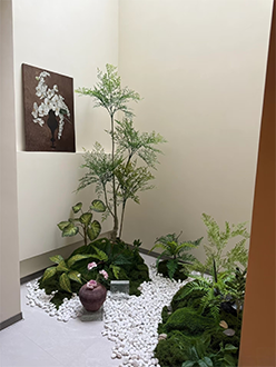 室内简约微景观绿植造景实景案例