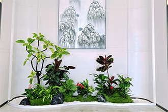 室内简约微景观绿植造景实景案例